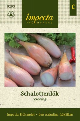 Lök, Schalotten-, Zébrune