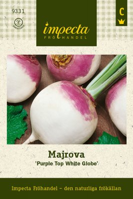 Majrova, Purple Top White Globe