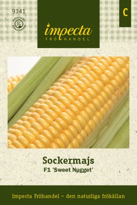 Majs, Socker-, F1 Sweet Nugget