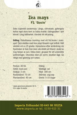 Majs, 'Gucio' F1