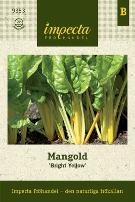 Mangold, Bright Yellow