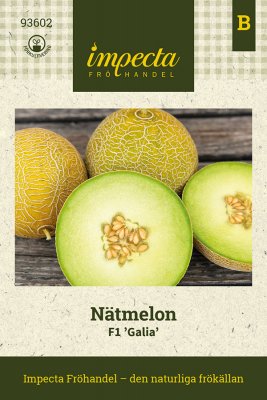 Nätmelon Galia F1
