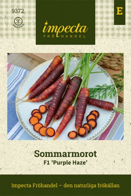 Morot Sommar F1 Purple Haze