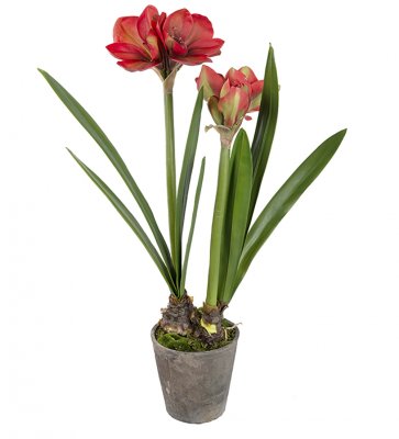 Amaryllis Röd 90cm, Konstgjord