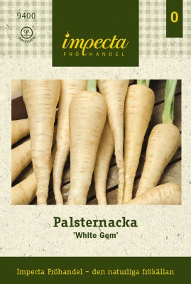 Palsternacka, 'White Gem'