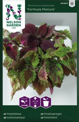 Palettblad Formula Mixture