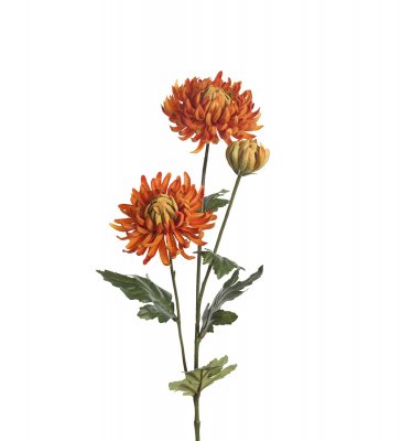 Chrysanthemum Orange 60cm