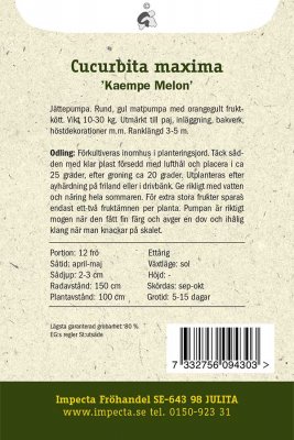 Pumpa, Mammut-, Kaempe Melon