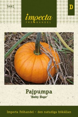 Pumpa, Paj-, Baby Bear