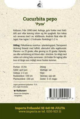 Pumpa, Spagetti-, Pyza