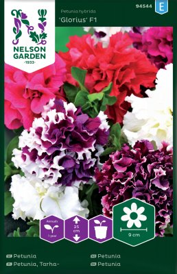 Petunia, Glorious F1