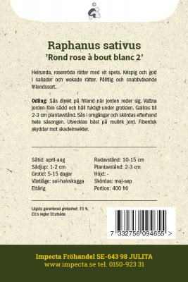 Rädisa Rond rose à bout blanc 2