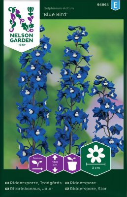Riddarsporre, Trädgårds-, Blue Bird