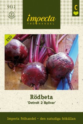Rödbeta, 'Detroit 2 Bolivar', Ekologisk