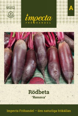 Rödbeta Renova