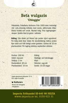 Rödbeta, 'Chioggia'