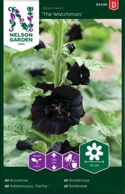 Stockros, The Watchman