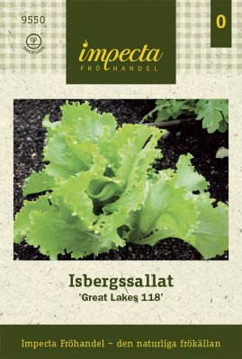 Sallat, Isbergs-, 'Great Lakes 118'