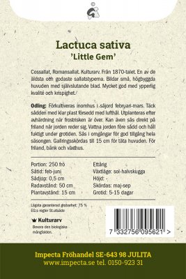 Sallat, Bind-, Little Gem