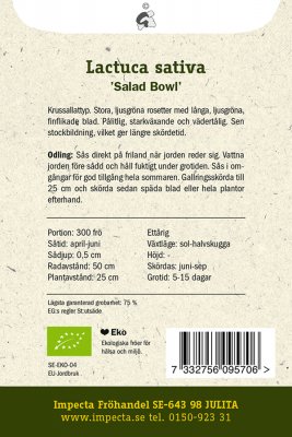 Sallat, Plock-, 'Salad Bowl', Ekologisk
