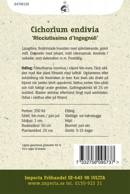 Sallat, Frisee-, Ricciutissima d'Ingegnoli