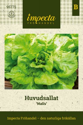 Huvudsallat Malis