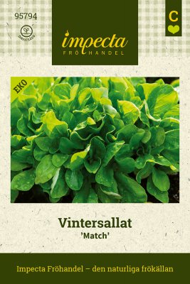 Sallat, Vinter-, Match