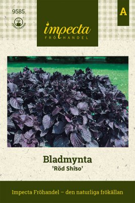 Mynta, Blad- Röd Shiso