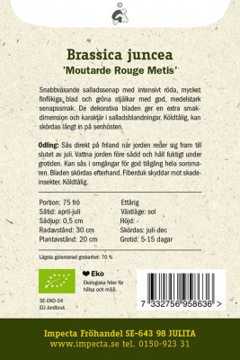 Salladssenap, 'Moutarde Rouge Metis', Ekologisk