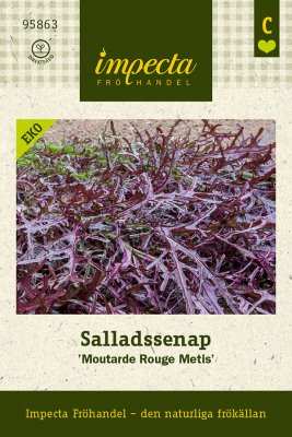Salladssenap, 'Moutarde Rouge Metis', Ekologisk