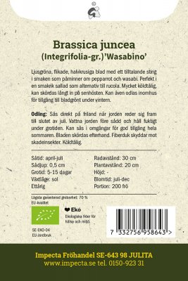 Salladssenap Wasabino
