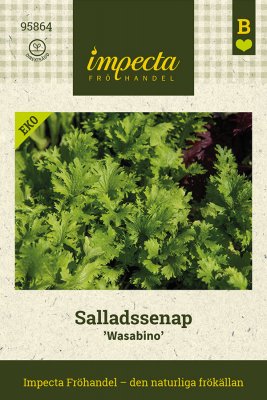 Salladssenap Wasabino