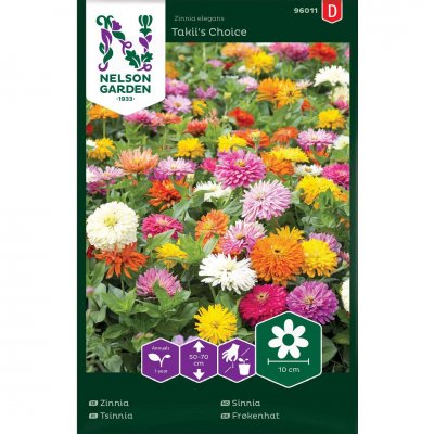 Zinnia, Takii´s Choice