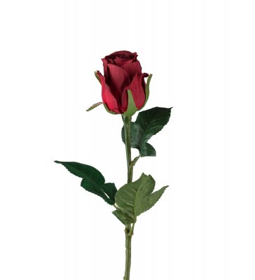 Ros Röd 50cm