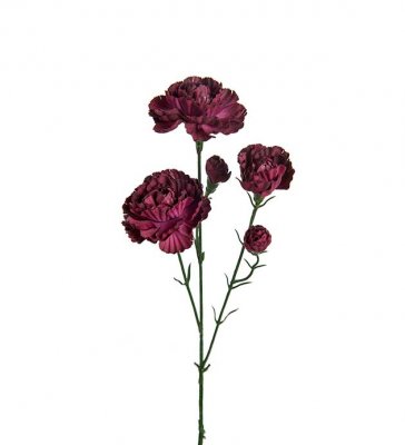 Nejlika Mörkröd 65cm, Konstgjord