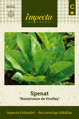 Spenat, Monstrueux de Viroflay