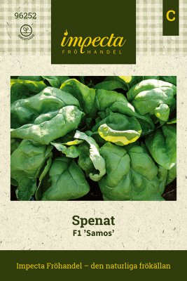 Spenat, Samos F1