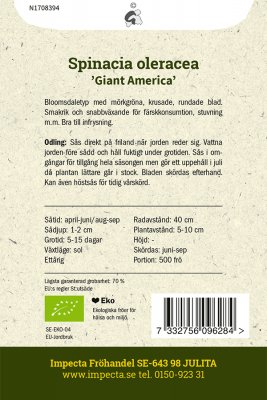 Spenat, America, Ekologisk