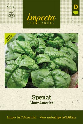 Spenat, America, Ekologisk