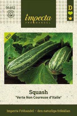 Squash, Verte Non Coureuse d'Italie, Ekologisk