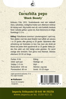 Squash, 'Black Beauty'