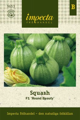 Squash, F1 Round Beauty
