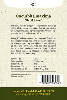 Squash, Vinter-, Hubbardpumpa, Uchiki Kuri