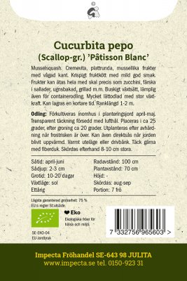 Squash, Mussel-, Pâtisson Blanc, Ekologisk