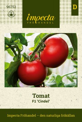 Tomat F1 Cindel