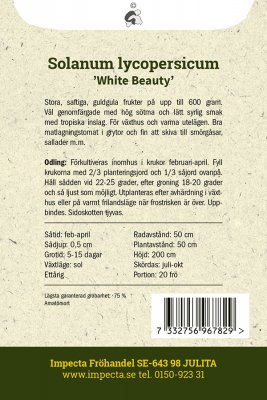 Tomat, Biff-, White Beauty