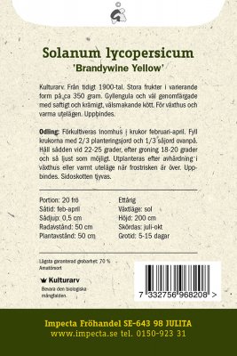 Tomat, Biff-, Brandywine Yellow