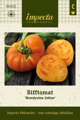 Tomat, Biff-, Brandywine Yellow