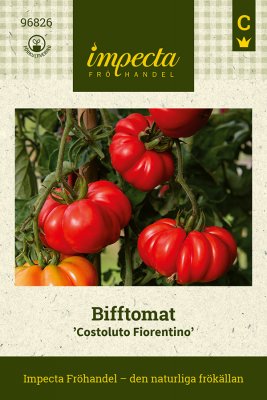 Tomat, Biff-, Costoluto Fiorentino