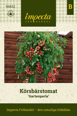Tomat, Körsbärs-, Gartenperle
